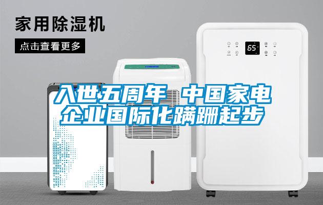 入世五周年 中國家電企業(yè)國際化蹣跚起步