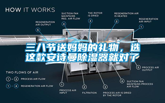 三八節(jié)送媽媽的禮物，選這款安詩(shī)曼除濕器就對(duì)了