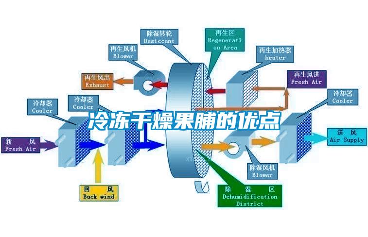 冷凍干燥果脯的優(yōu)點(diǎn)