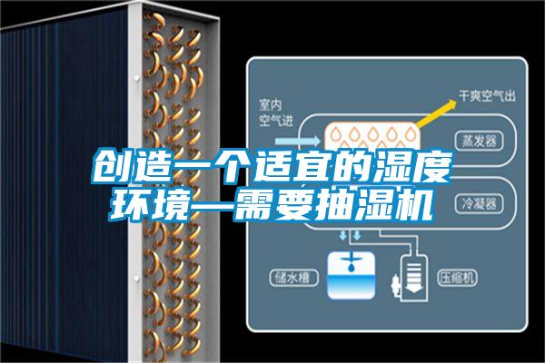 創(chuàng)造一個適宜的濕度環(huán)境—需要抽濕機(jī)