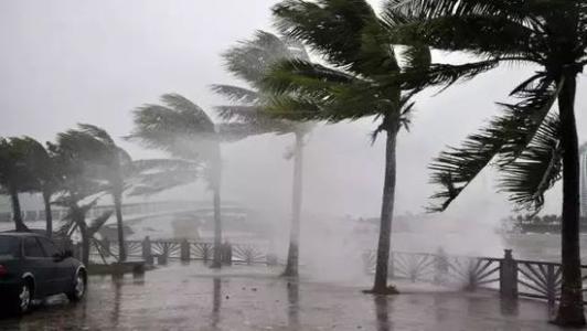 8月臺(tái)風(fēng)雨即將來(lái)，除濕機(jī)還得用起來(lái)