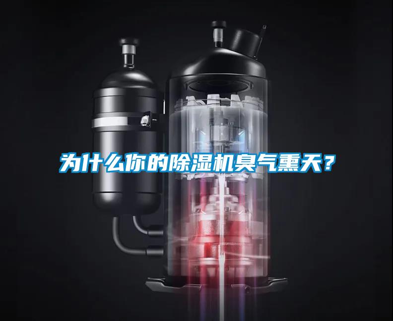 為什么你的除濕機臭氣熏天？