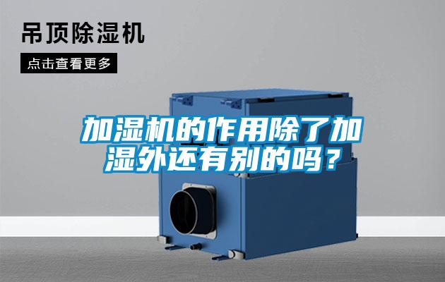 加濕機的作用除了加濕外還有別的嗎？