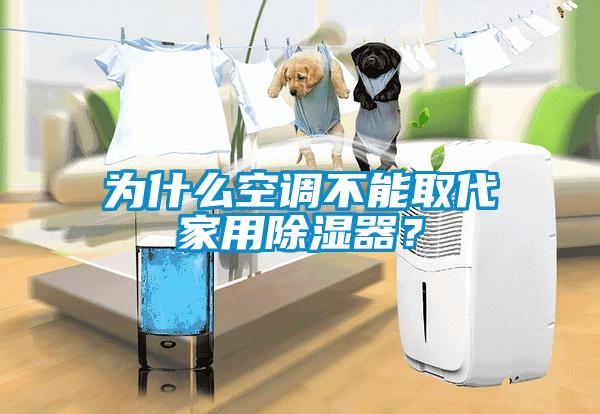 為什么空調(diào)不能取代家用除濕器？