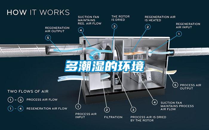 多潮濕的環(huán)境