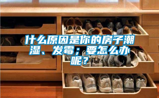 什么原因是你的房子潮濕、發(fā)霉；要怎么辦呢？