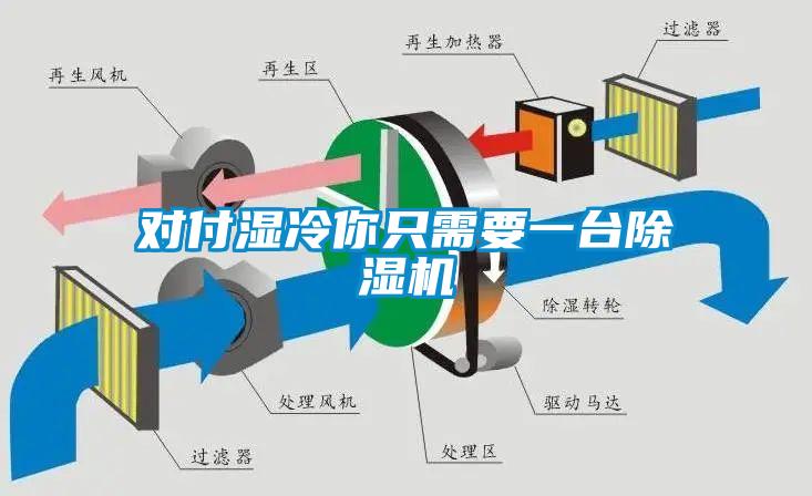 對付濕冷你只需要一臺除濕機