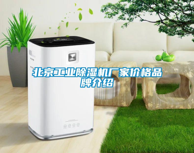 北京工業(yè)除濕機廠家價格品牌介紹