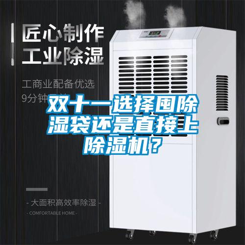 雙十一選擇囤除濕袋還是直接上除濕機(jī)？