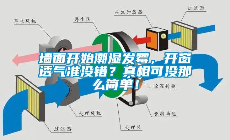 墻面開始潮濕發(fā)霉，開窗透氣準(zhǔn)沒錯？真相可沒那么簡單！