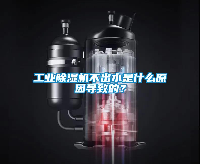 工業(yè)除濕機不出水是什么原因?qū)е碌模?/></p>
<p style=