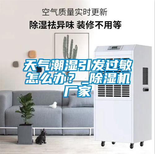 天氣潮濕引發(fā)過敏怎么辦？_除濕機(jī)廠家