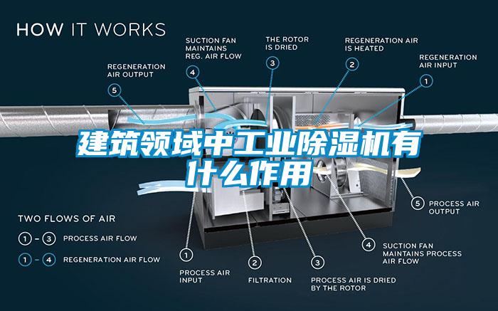 建筑領(lǐng)域中工業(yè)除濕機(jī)有什么作用