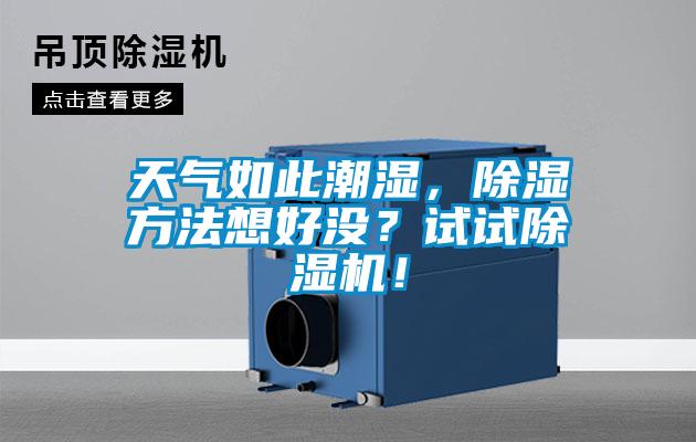 天氣如此潮濕，除濕方法想好沒？試試除濕機！