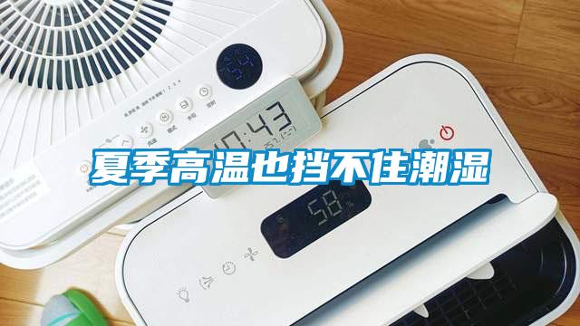 夏季高溫也擋不住潮濕