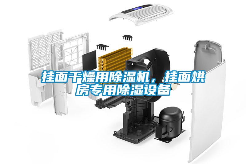 掛面干燥用除濕機，掛面烘房專用除濕設備