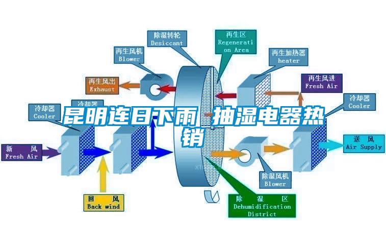 昆明連日下雨 抽濕電器熱銷