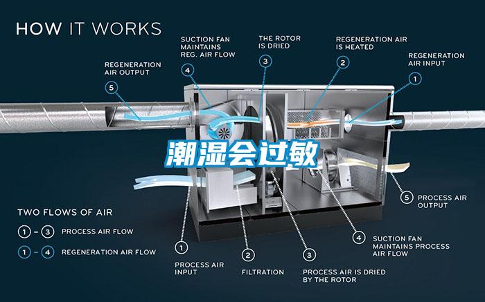 潮濕會過敏