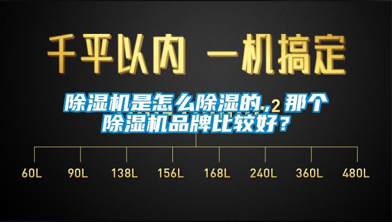 除濕機(jī)是怎么除濕的，那個除濕機(jī)品牌比較好？