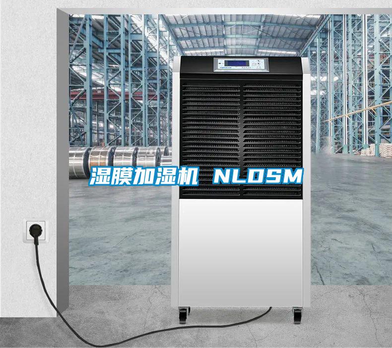 濕膜加濕機(jī) NLDSM