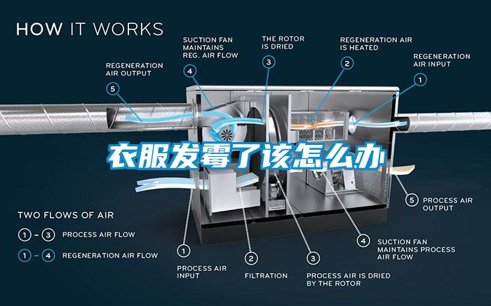 衣服發(fā)霉了該怎么辦