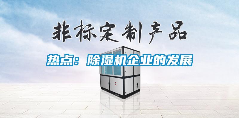 熱點(diǎn)：除濕機(jī)企業(yè)的發(fā)展