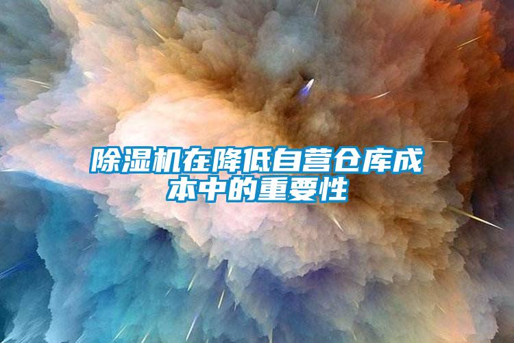 除濕機在降低自營倉庫成本中的重要性