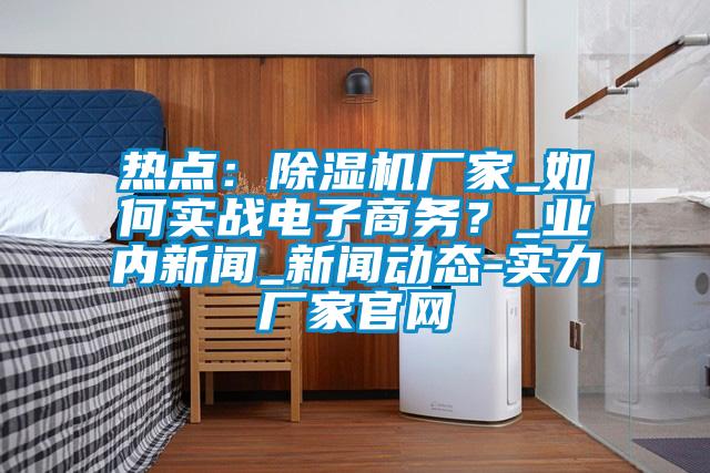 熱點：除濕機廠家_如何實戰(zhàn)電子商務？_業(yè)內新聞_新聞動態(tài)-實力廠家官網(wǎng)