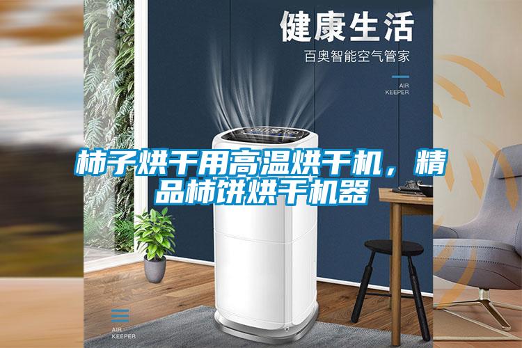 柿子烘干用高溫烘干機，精品柿餅烘干機器