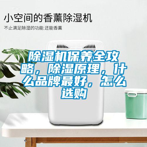 除濕機保養(yǎng)全攻略，除濕原理，什么品牌最好，怎么選購