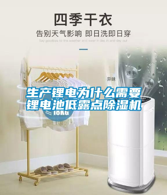 生產(chǎn)鋰電為什么需要鋰電池低露點除濕機(jī)