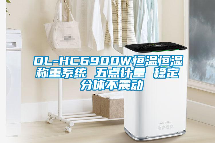 DL-HC6900W恒溫恒濕稱重系統(tǒng) 五點計量 穩(wěn)定 分體不震動