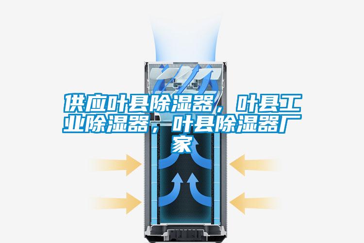 供應(yīng)葉縣除濕器，葉縣工業(yè)除濕器，葉縣除濕器廠家