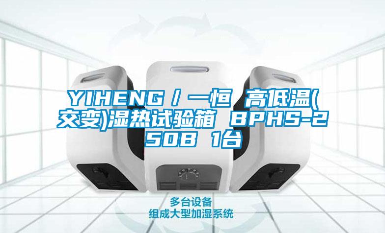 YIHENG／一恒 高低溫(交變)濕熱試驗箱 BPHS-250B 1臺