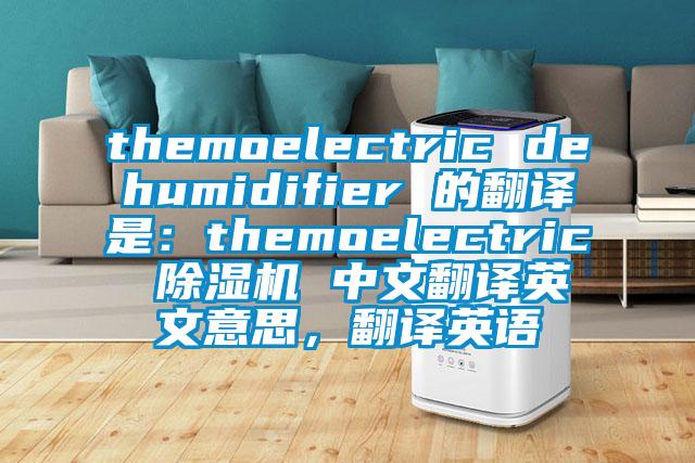 themoelectric dehumidifier 的翻譯是：themoelectric 除濕機(jī) 中文翻譯英文意思，翻譯英語