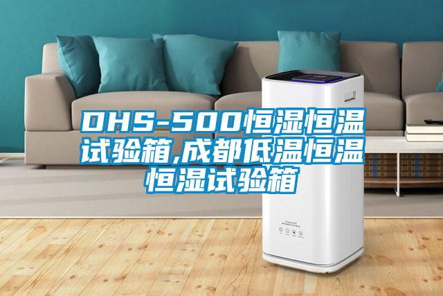 DHS-500恒濕恒溫試驗箱,成都低溫恒溫恒濕試驗箱