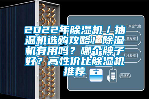 2022年除濕機／抽濕機選購攻略！除濕機有用嗎？哪個牌子好？高性價比除濕機推薦