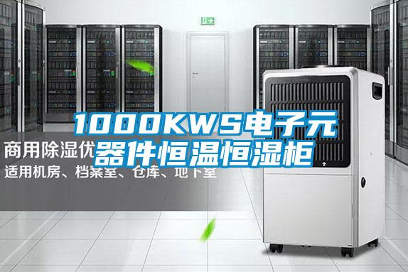 1000KWS電子元器件恒溫恒濕柜