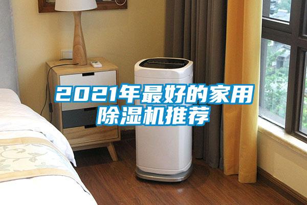 2021年最好的家用除濕機推薦