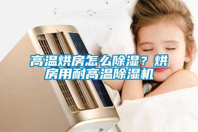 高溫烘房怎么除濕？烘房用耐高溫除濕機