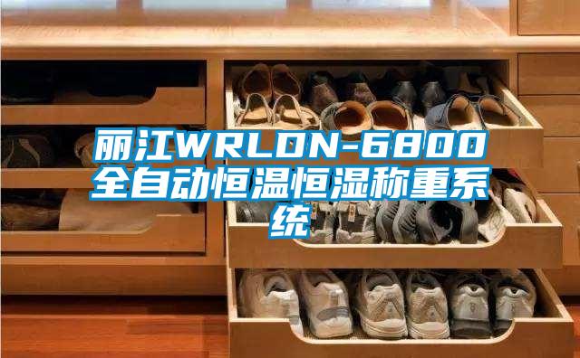 麗江WRLDN-6800全自動(dòng)恒溫恒濕稱(chēng)重系統(tǒng)