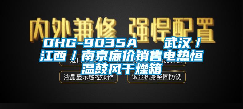 DHG-9035A   武漢／江西／南京廉價(jià)銷售電熱恒溫鼓風(fēng)干燥箱