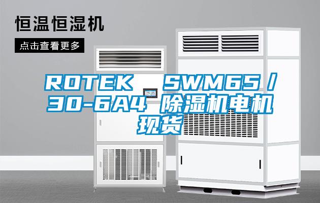 ROTEK  SWM65／30-6A4 除濕機電機現(xiàn)貨