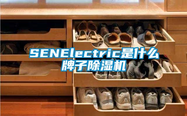 SENElectric是什么牌子除濕機