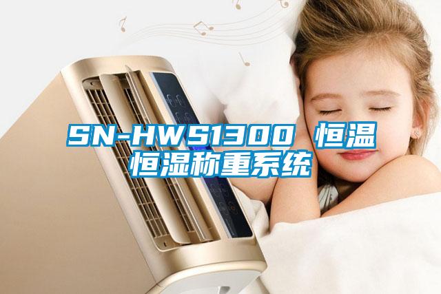 SN-HWS1300 恒溫恒濕稱重系統(tǒng)