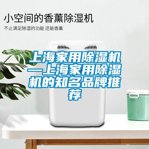 上海家用除濕機(jī)—上海家用除濕機(jī)的知名品牌推薦