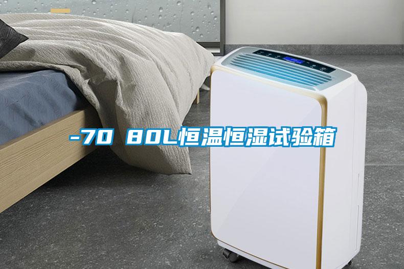 -70℃80L恒溫恒濕試驗(yàn)箱