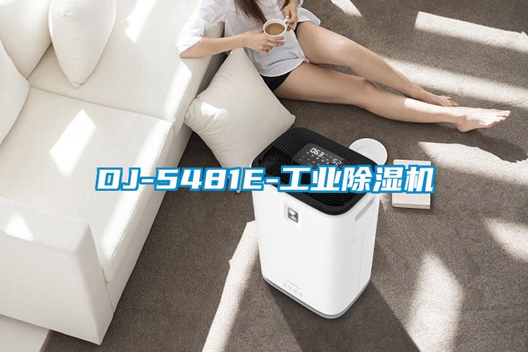 DJ-5481E-工業(yè)除濕機(jī)