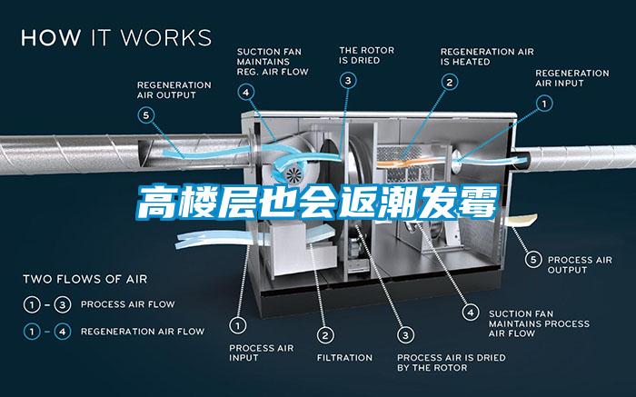 高樓層也會返潮發(fā)霉