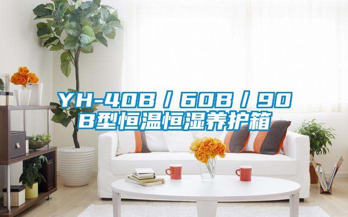 YH-40B／60B／90B型恒溫恒濕養(yǎng)護(hù)箱